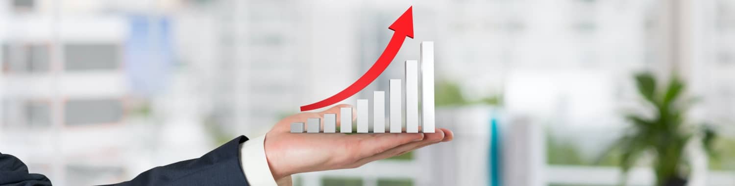 Accounting Outsourcing Services – An inexpensive way to grow!