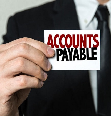 Accounts payable process snapshot