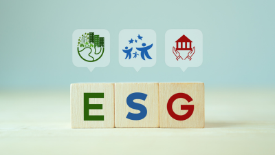 The Ultimate Guide to ESG Data Management: Strategies for Success